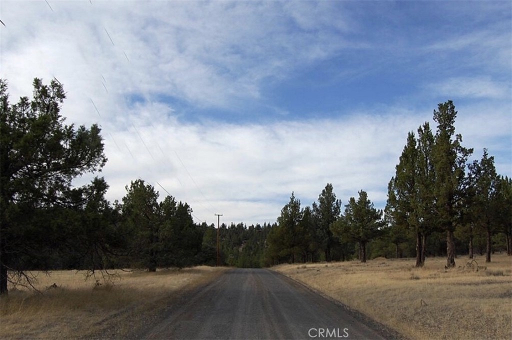 0 Grizzley Drive Property Photo