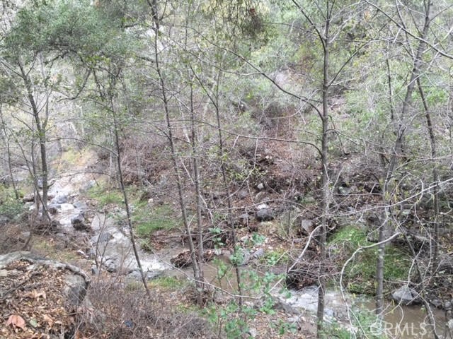 0 Silverado Canyon Road Property Photo