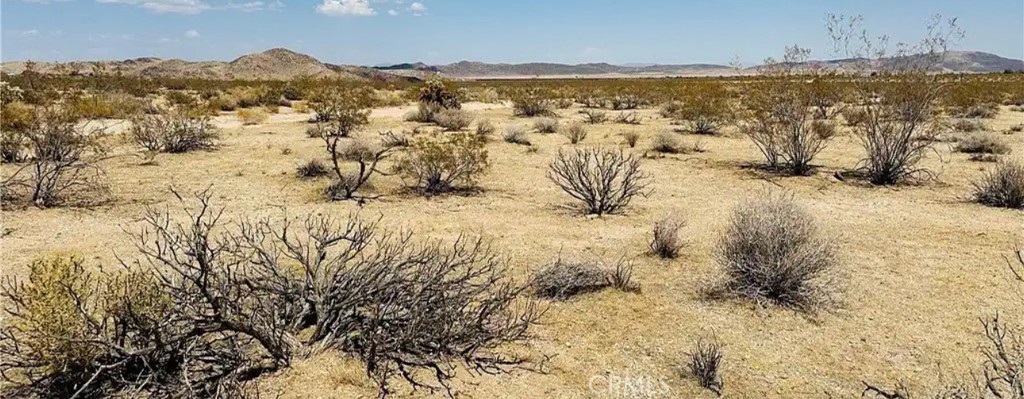 0 Yucaipa Property Photo 3