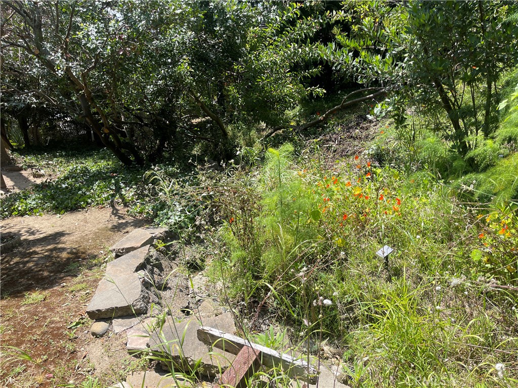 Property Photo 52