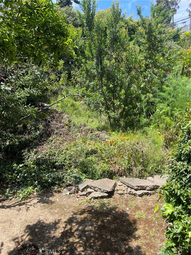 Property Photo 54