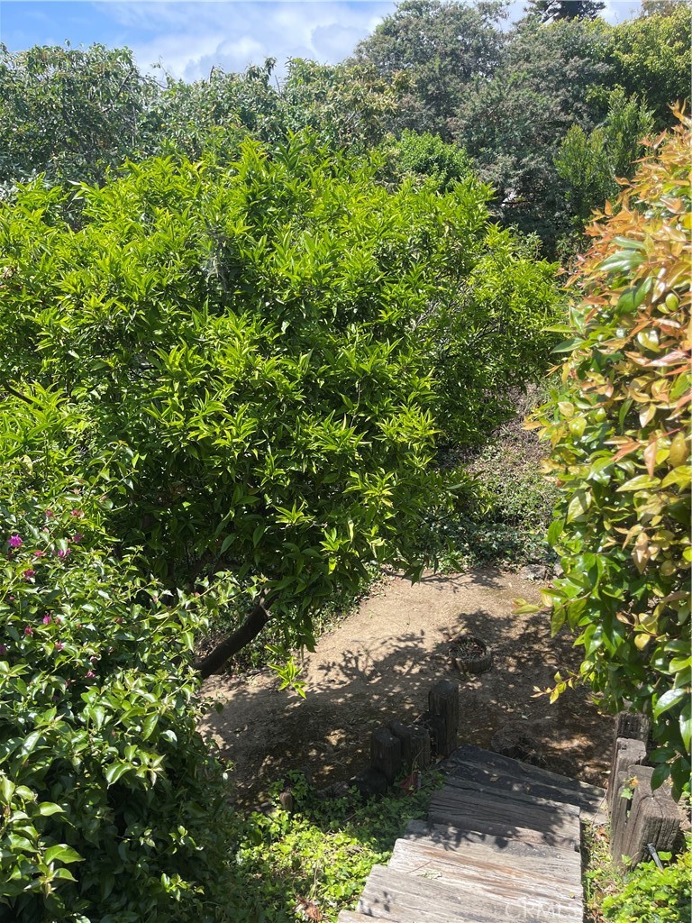 Property Photo 57