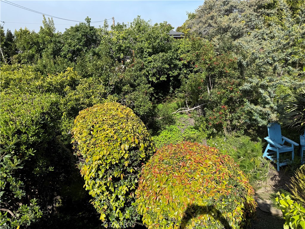 Property Photo 61