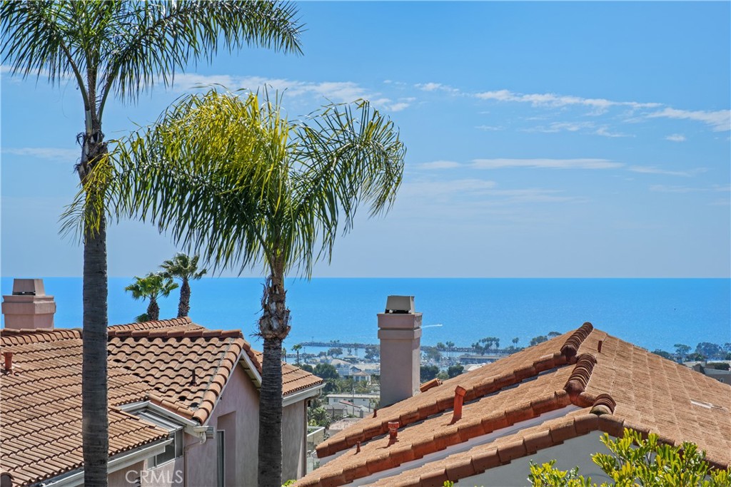 24882 Dana Point Drive Property Photo