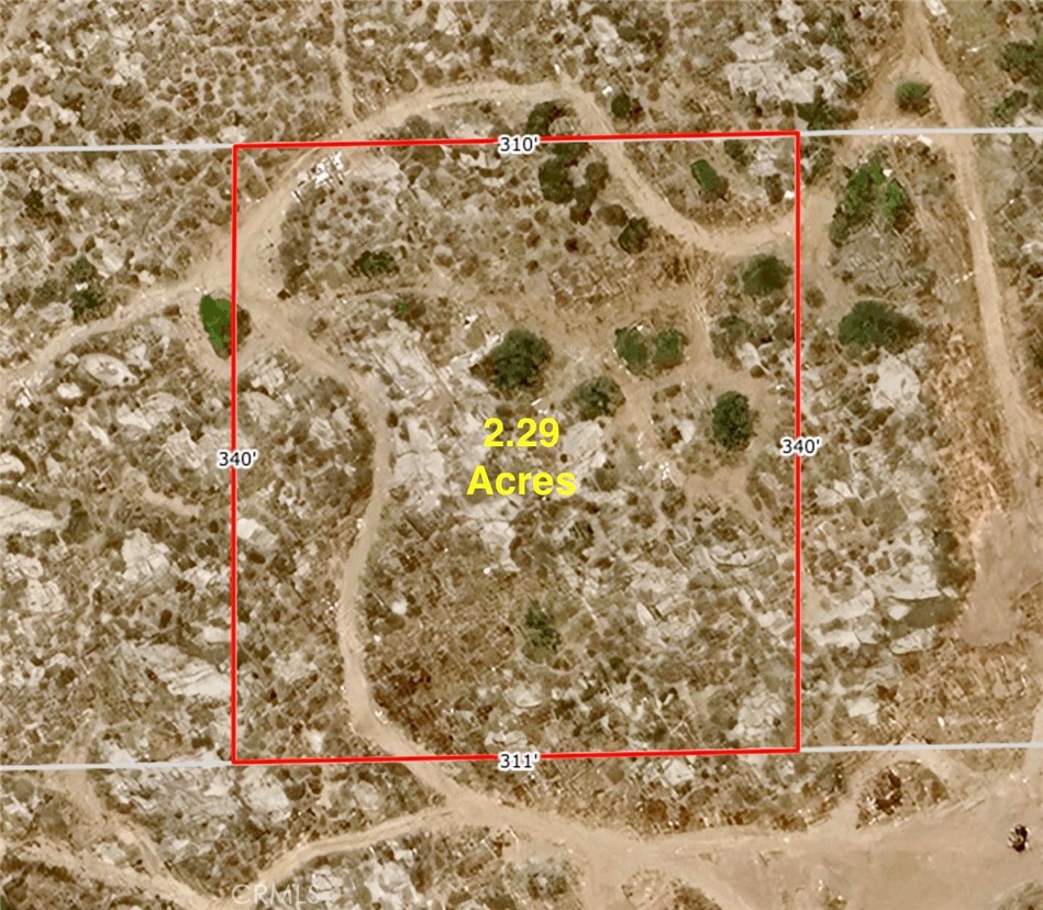 43 Skunk Property Photo