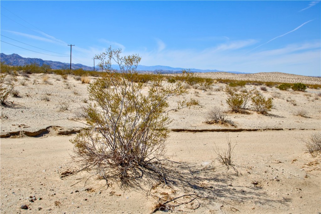0 29 Palms Hwy Property Photo 13