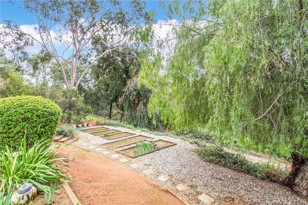 445 W Sunset Drive Property Photo 45