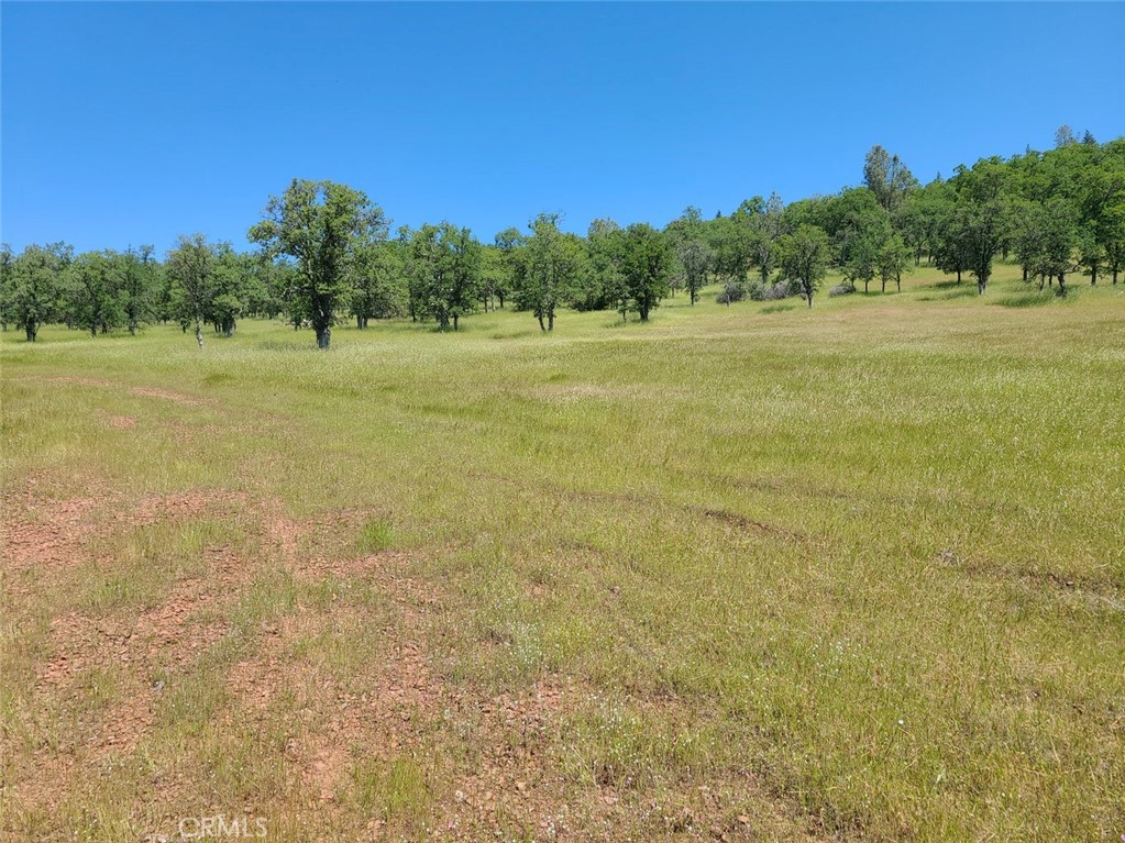 Manton Real Estate Listings Main Image