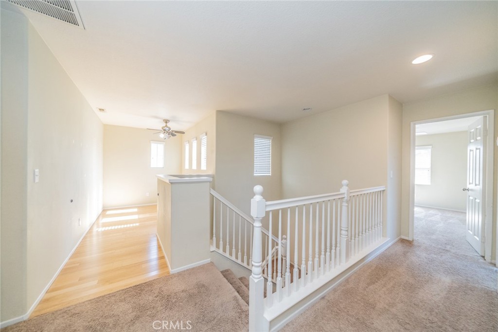 11191 Picard Place Property Photo 21
