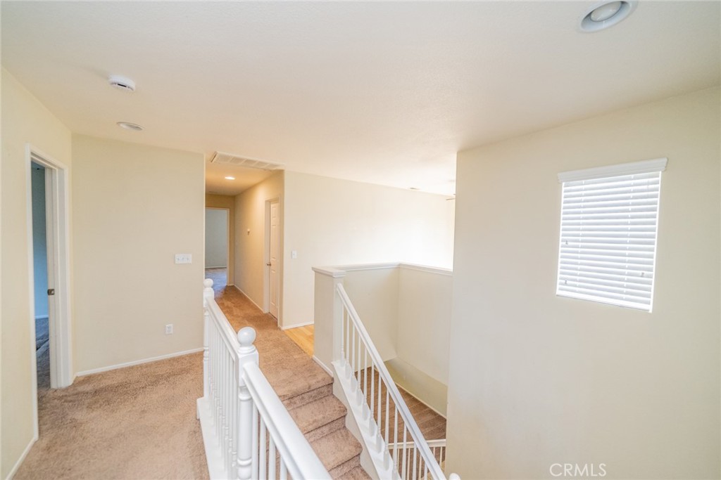 11191 Picard Place Property Photo 30