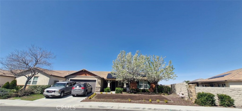 31817 Livingston Street Property Photo