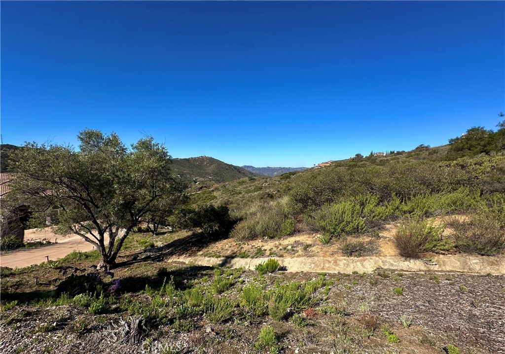 2005 Corte Asoleado Property Photo 1
