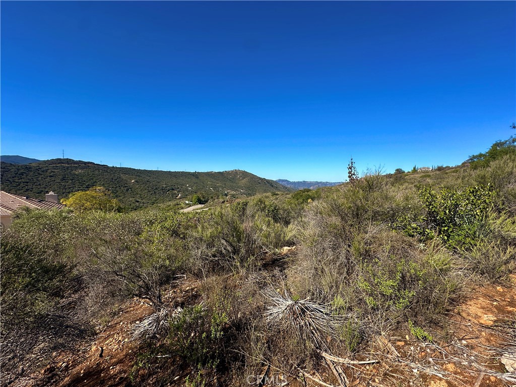 2005 Corte Asoleado Property Photo 6