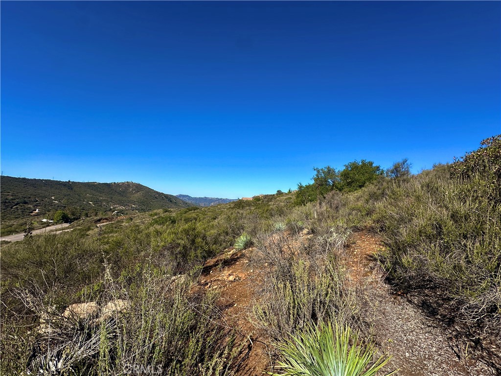 2005 Corte Asoleado Property Photo 7