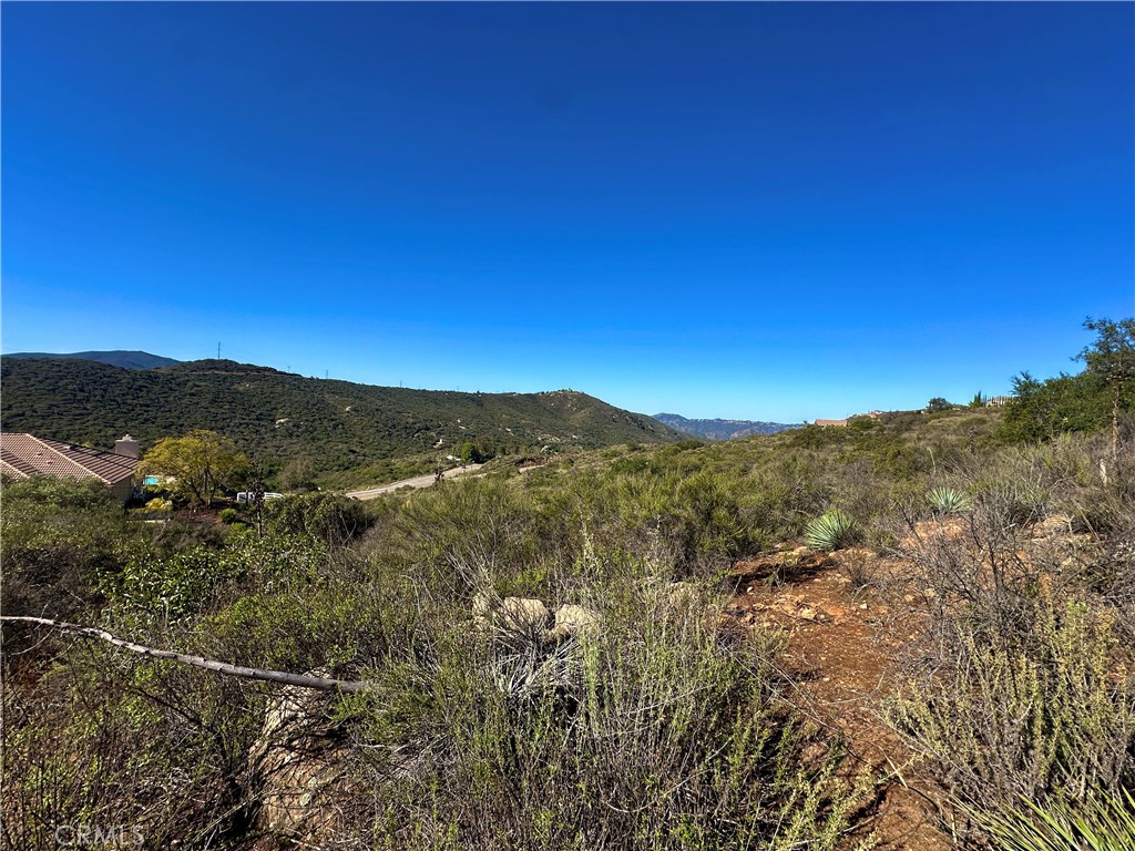2005 Corte Asoleado Property Photo 8