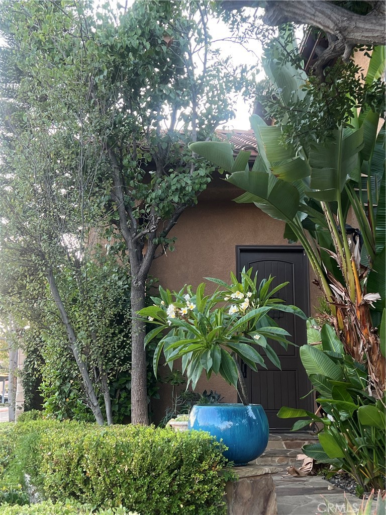 11105 Means Property Photo 2