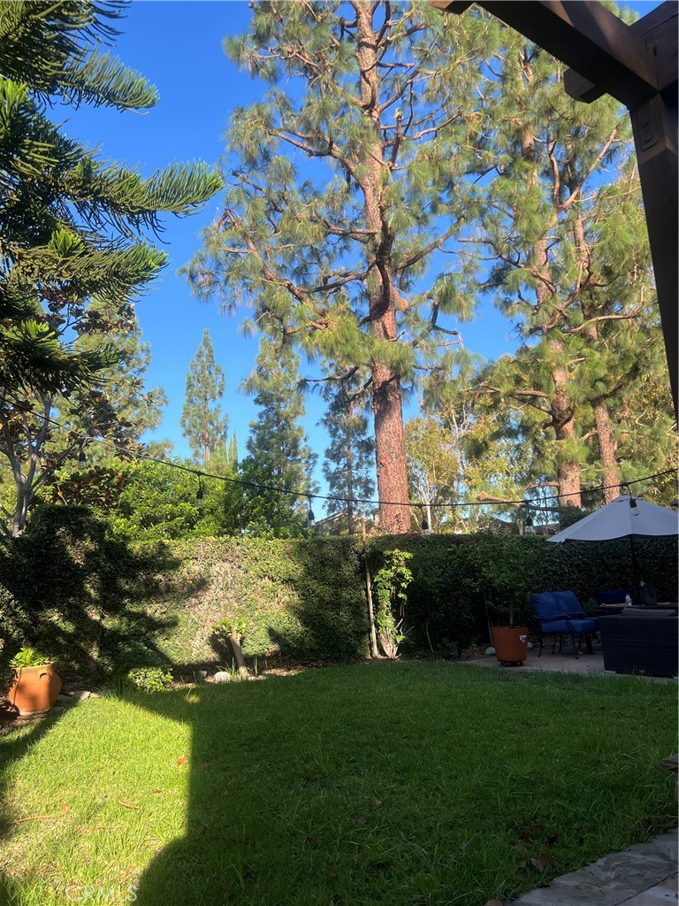 11105 Means Property Photo 12