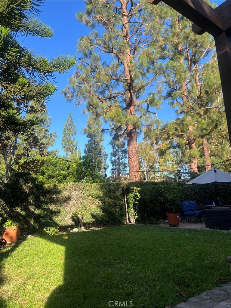 11105 Means Property Photo 20