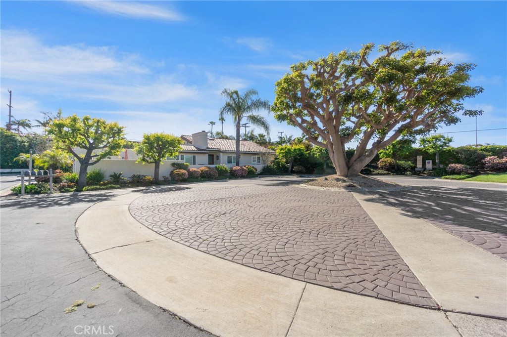 24232 Porto Verde Property Photo 43