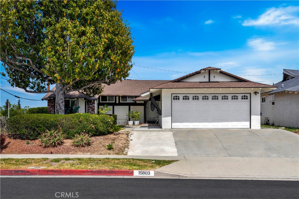 15803 Silvergrove Drive Property Photo 1