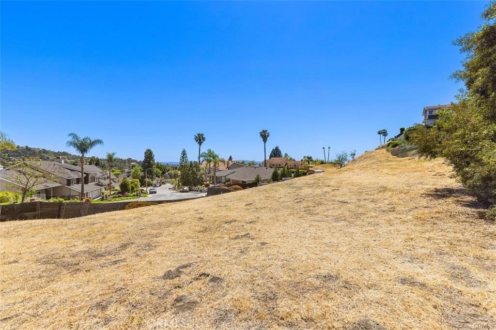 13131 Lemon Leaf Lane Property Photo 3
