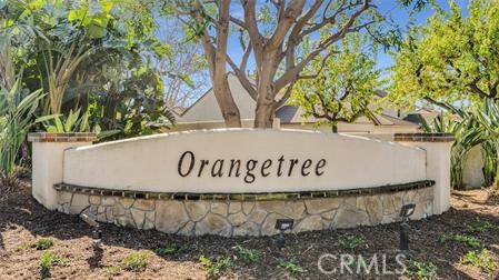 184 Lemon Grove 224 Property Photo 18