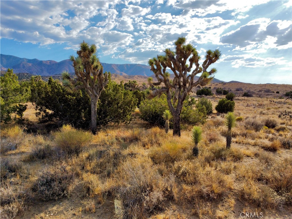 13 Longview Road Property Photo 12