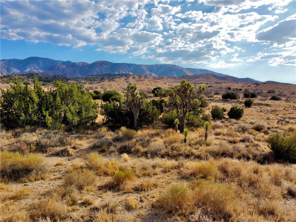 13 Longview Road Property Photo 13