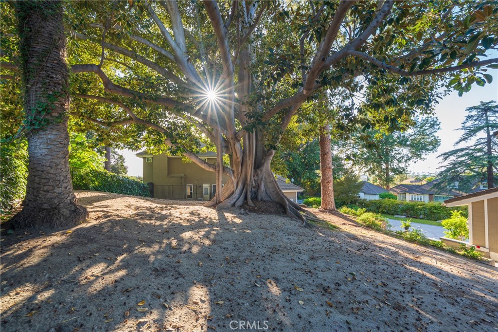 435 S Estate Drive Property Photo 15