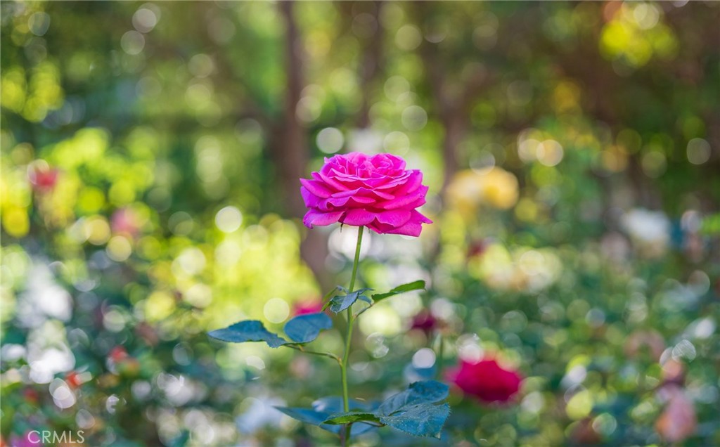 435 S Estate Drive Property Photo 17