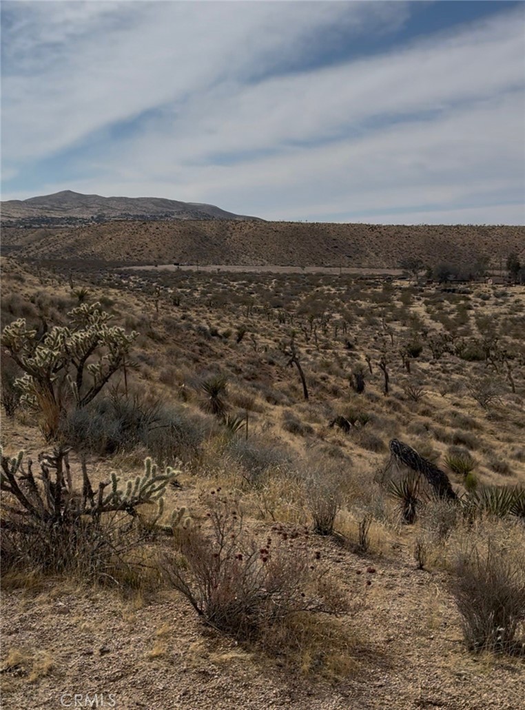 25201 Ocotillo Way Property Photo 13