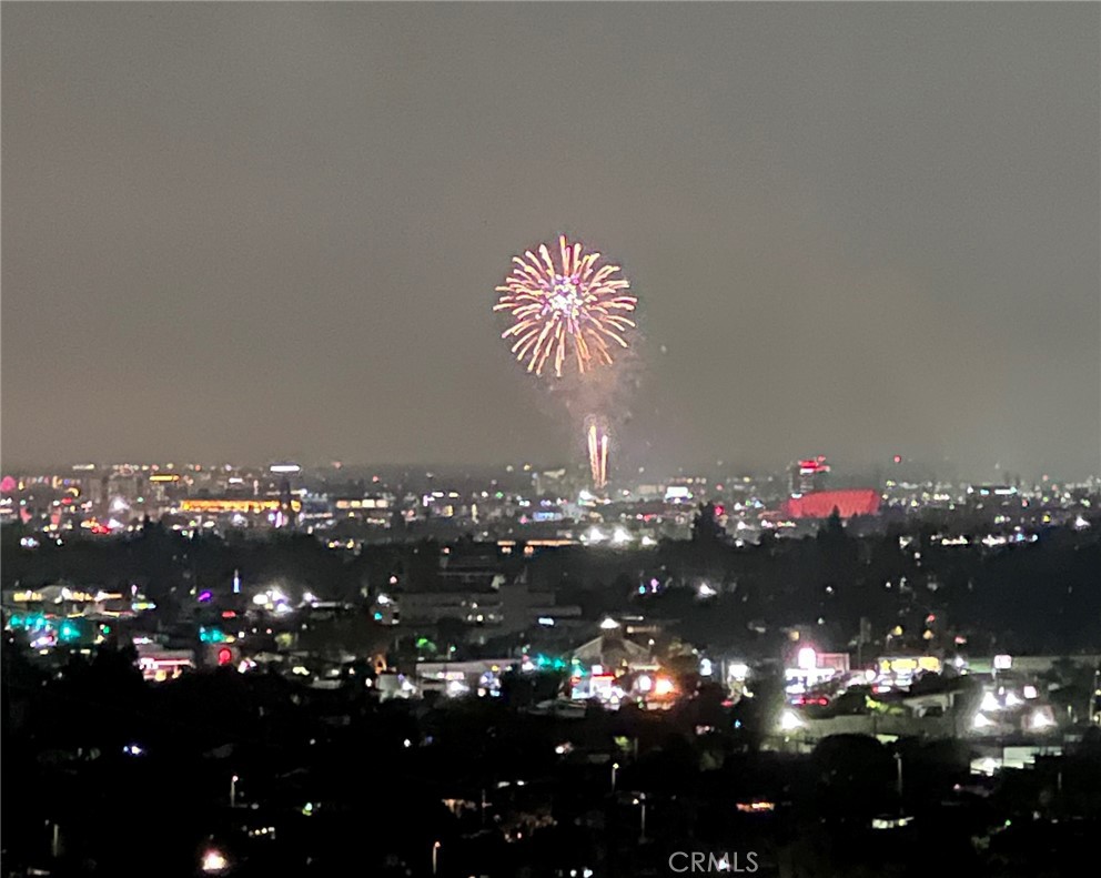 12273 Baja Panorama Property Photo 16