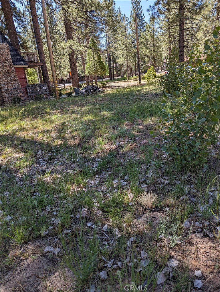 39424 Ruby Lane Property Photo 2