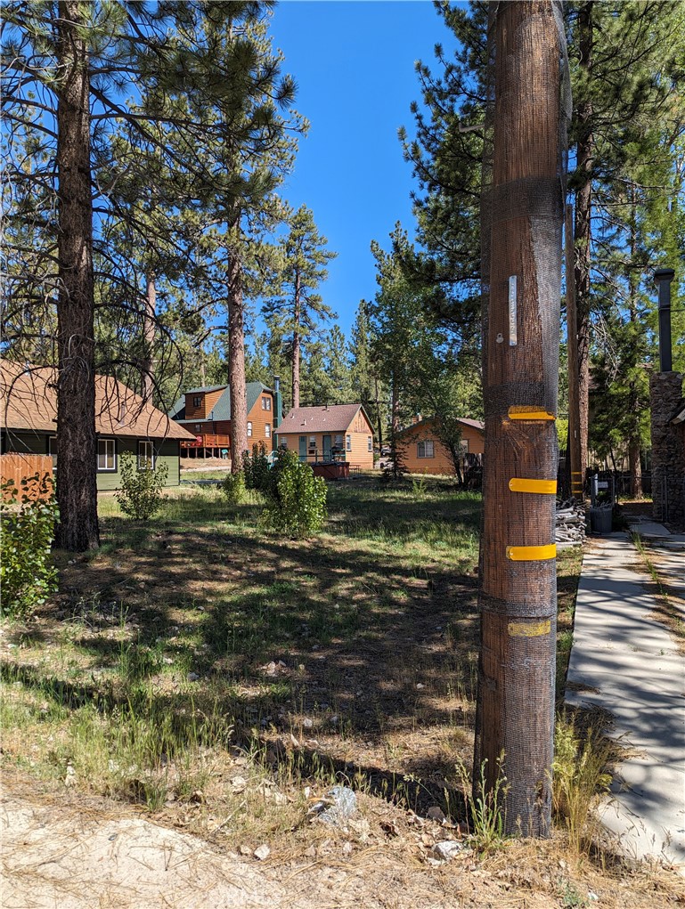 39424 Ruby Lane Property Photo 3