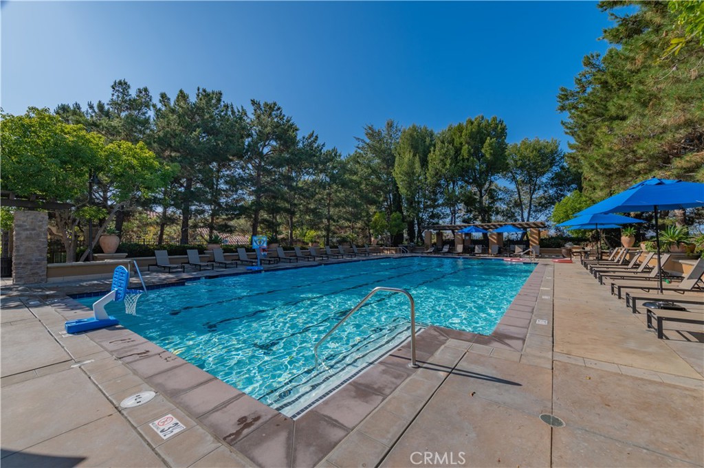 144 Coral Rose Property Photo 34