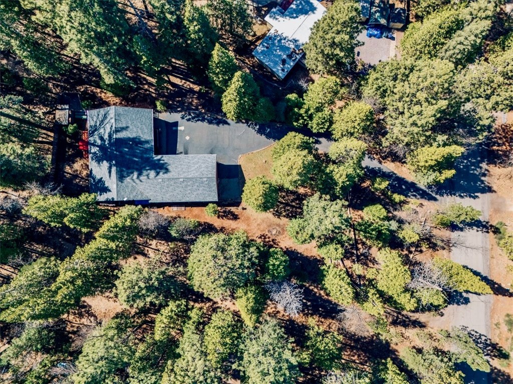 30821 Bambi Drive Property Photo 1