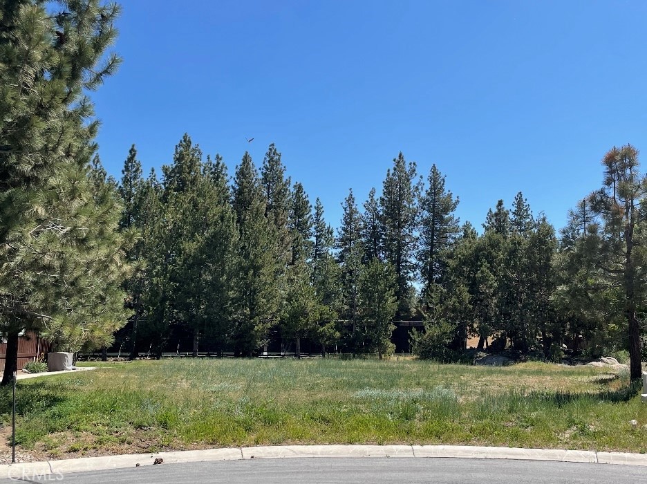 0 Pinto Court Property Photo 1