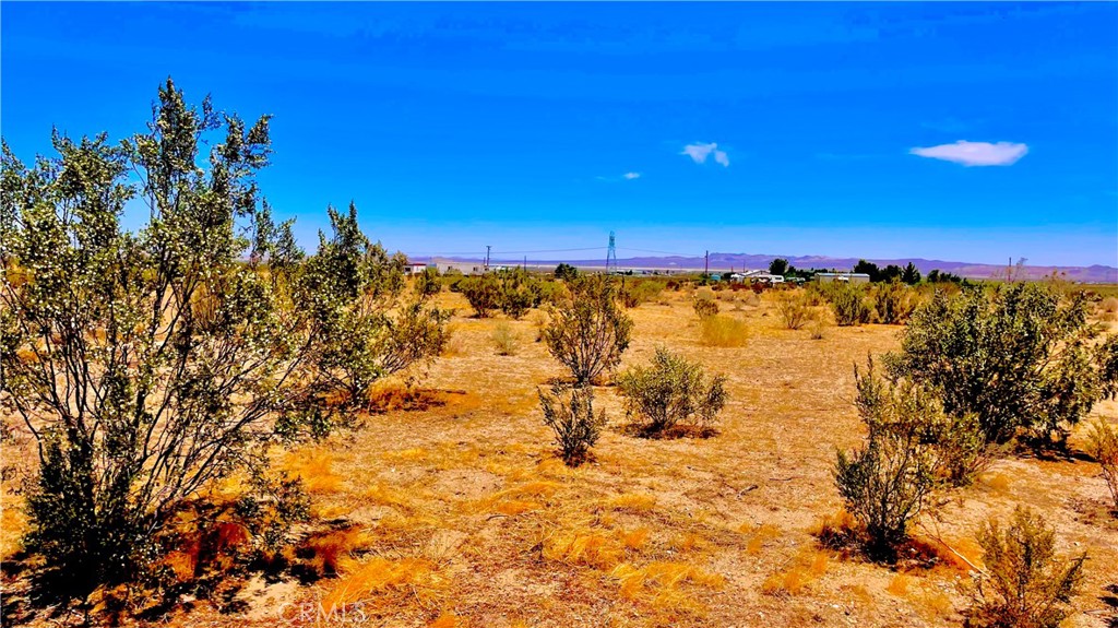 0 Sheep Creek Road Property Photo 2