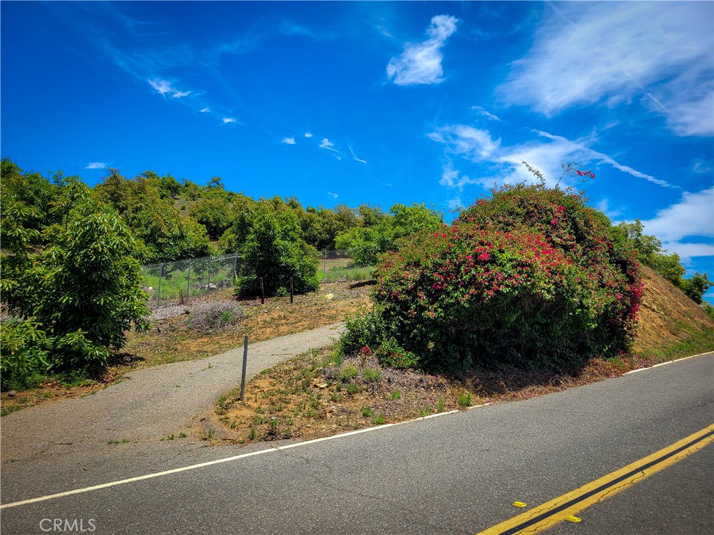 5 Via Vaquero Property Photo 3