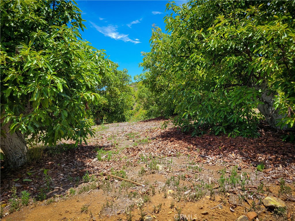 5 Via Vaquero Property Photo 6