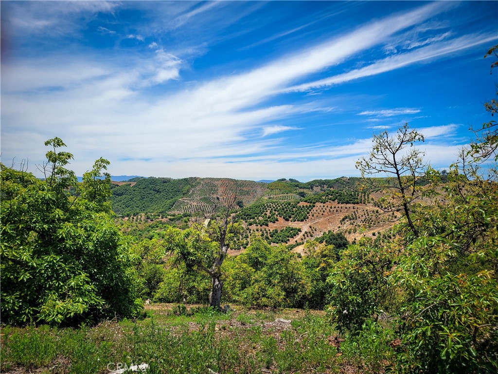 5 Via Vaquero Property Photo 10