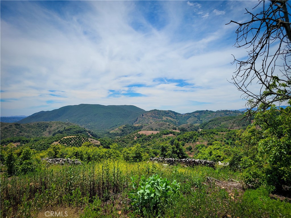 5 Via Vaquero Property Photo 12