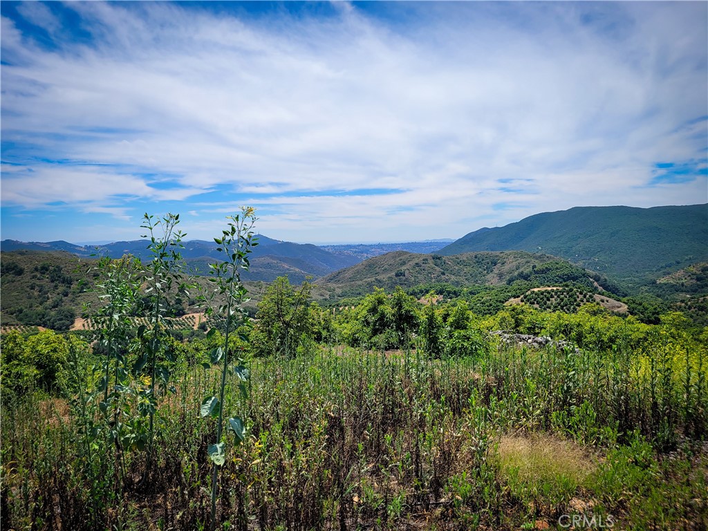 5 Via Vaquero Property Photo 13