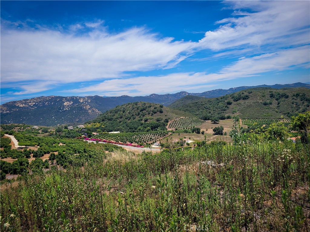 5 Via Vaquero Property Photo 15