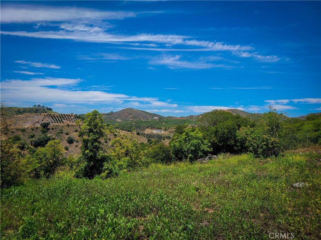 5 Via Vaquero Property Photo 17