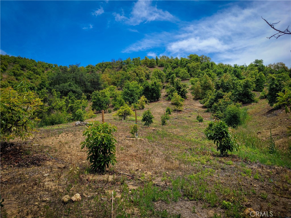 5 Via Vaquero Property Photo 20