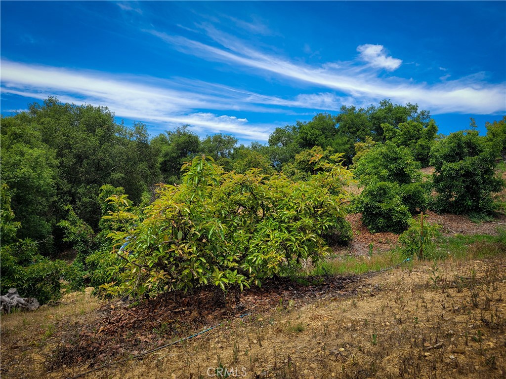 5 Via Vaquero Property Photo 22
