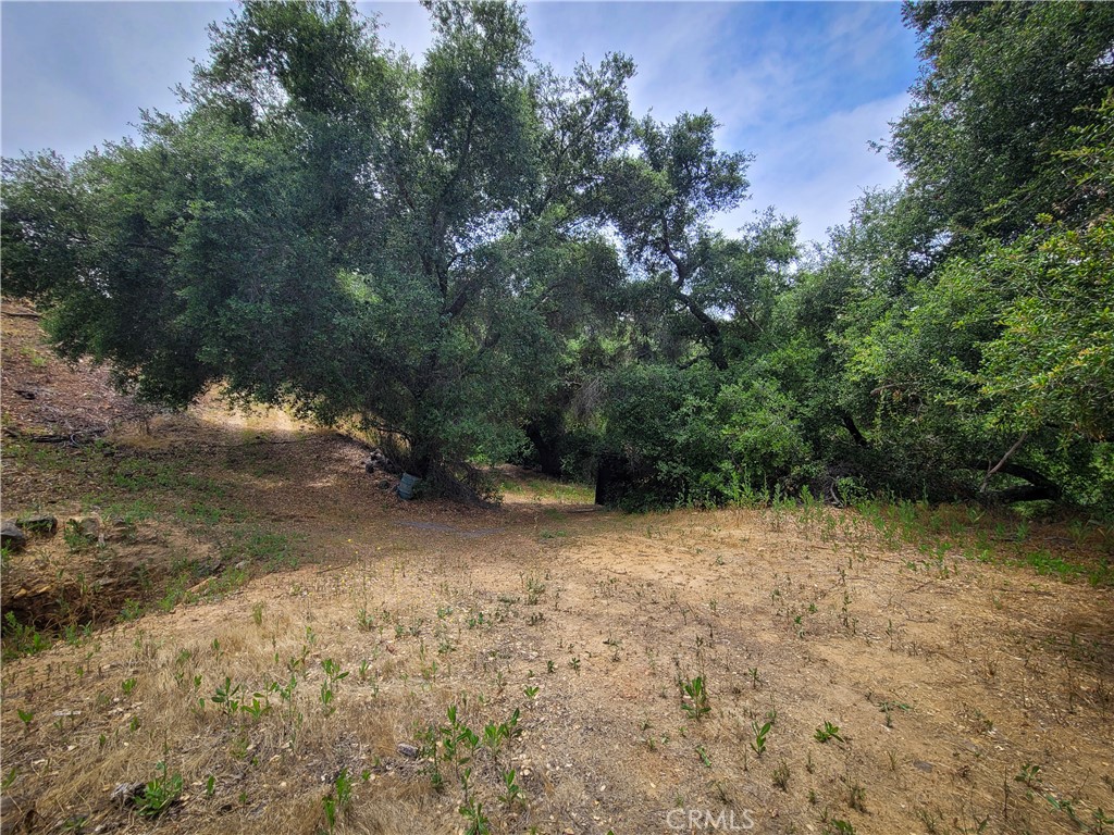 5 Via Vaquero Property Photo 29