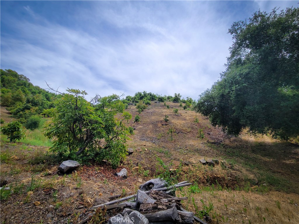 5 Via Vaquero Property Photo 30