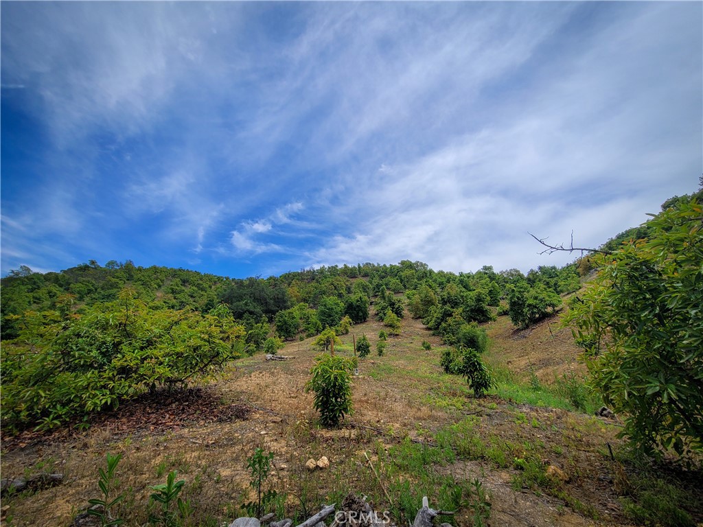 5 Via Vaquero Property Photo 31
